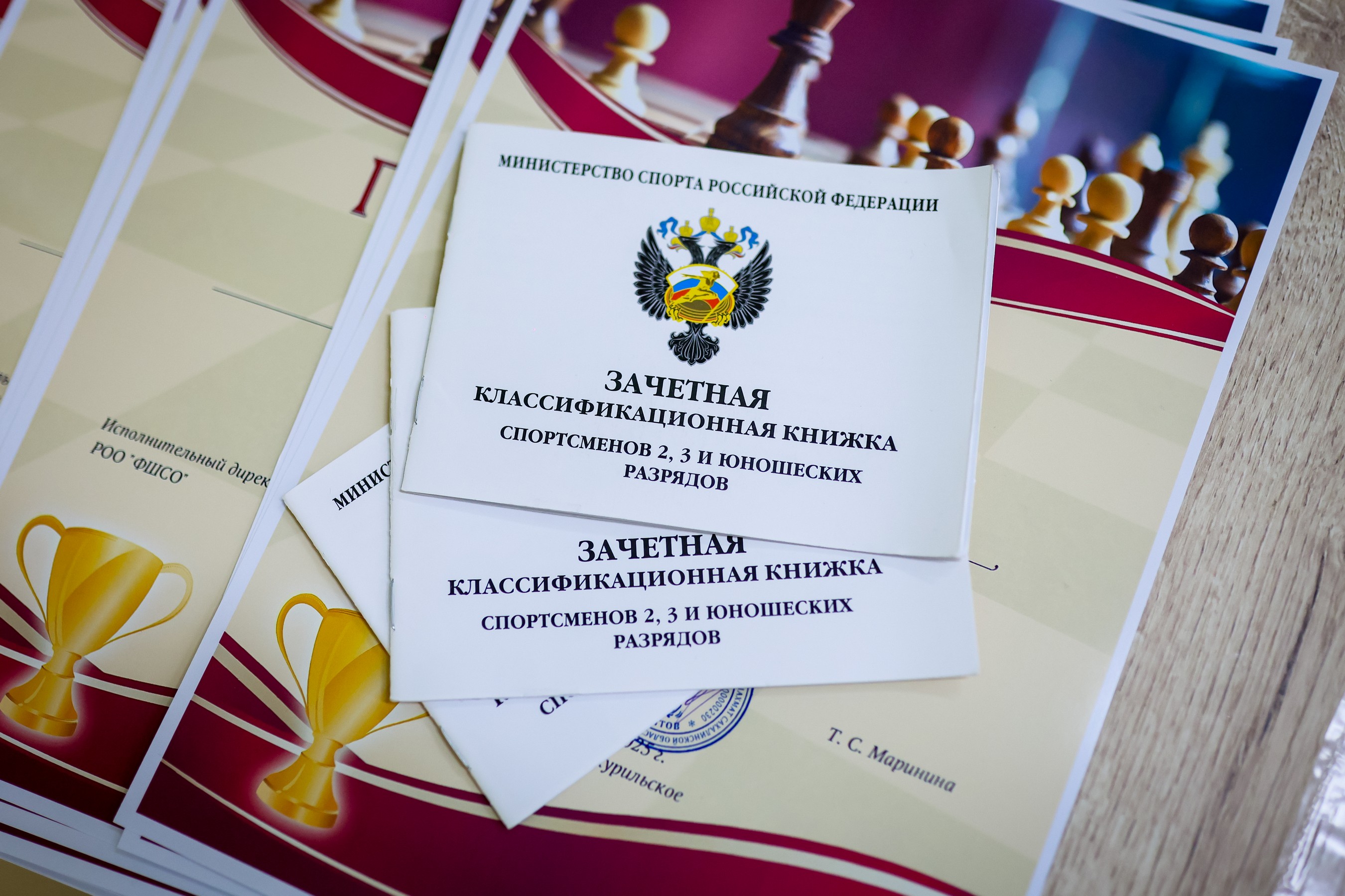 Турнир в Малокурильском