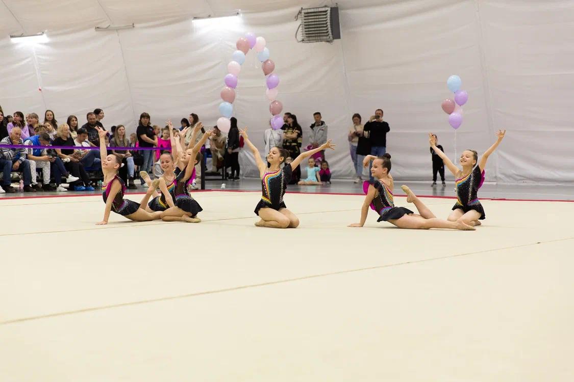 Первенство области по эстетической гимнастике