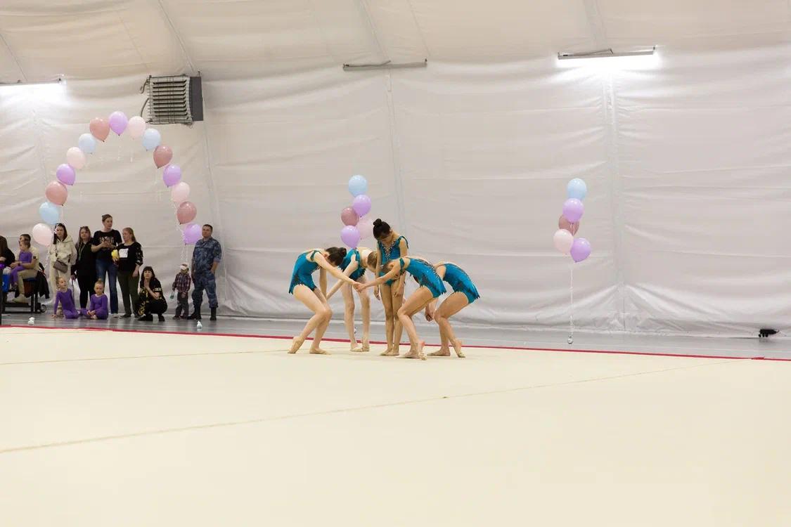 Первенство области по эстетической гимнастике