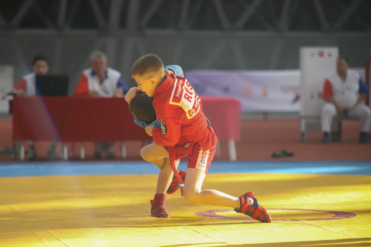 Всероссийский день самбо