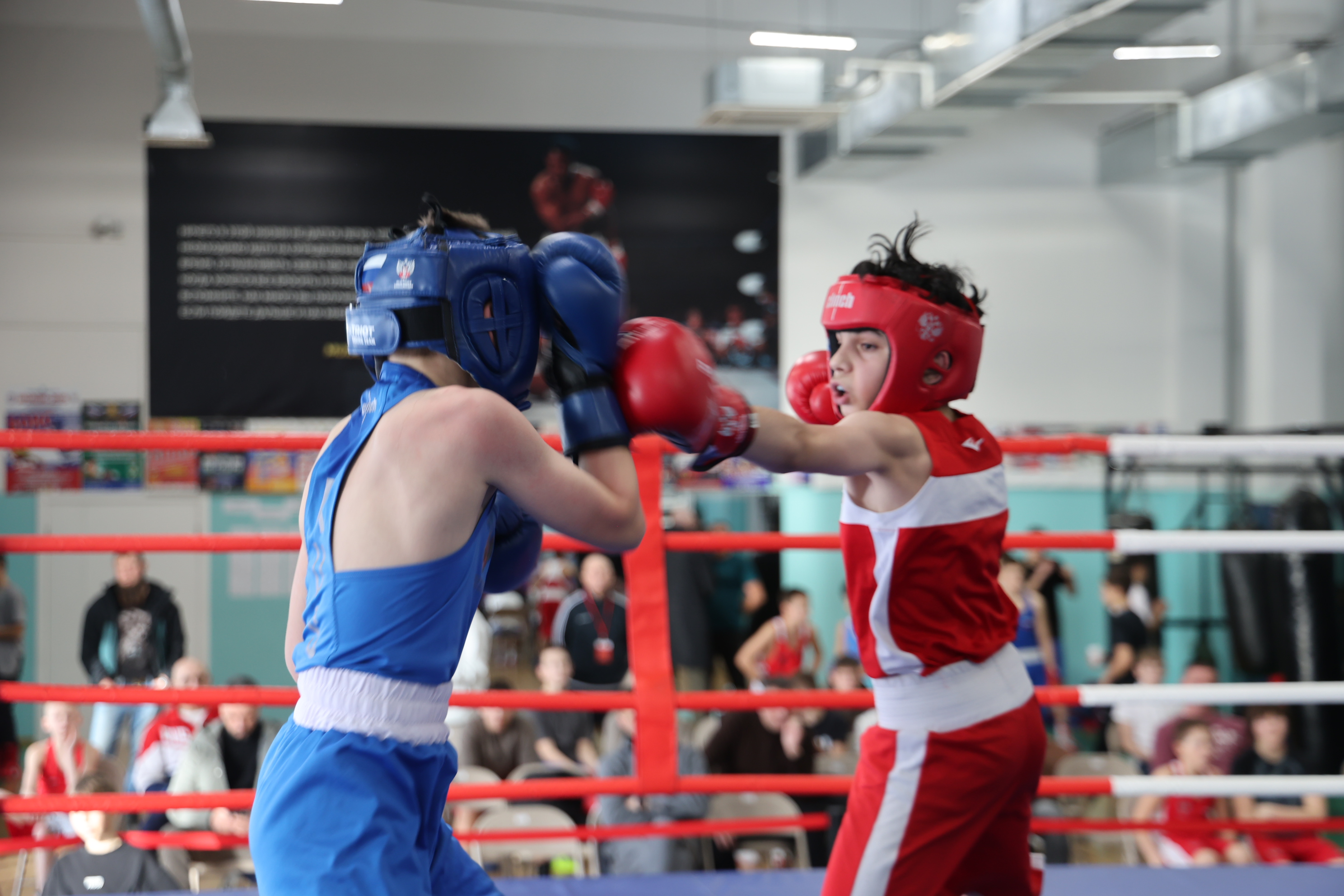 Первенство области по боксу