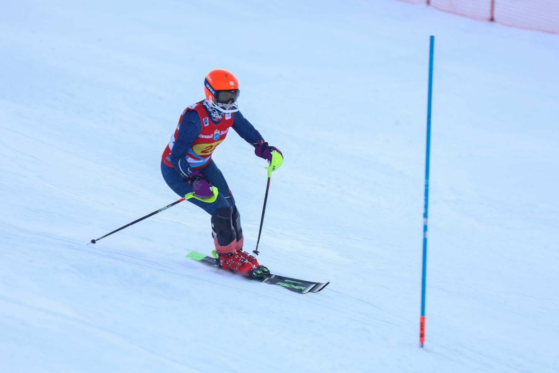 Чемпионат и первенство области по горным лыжам