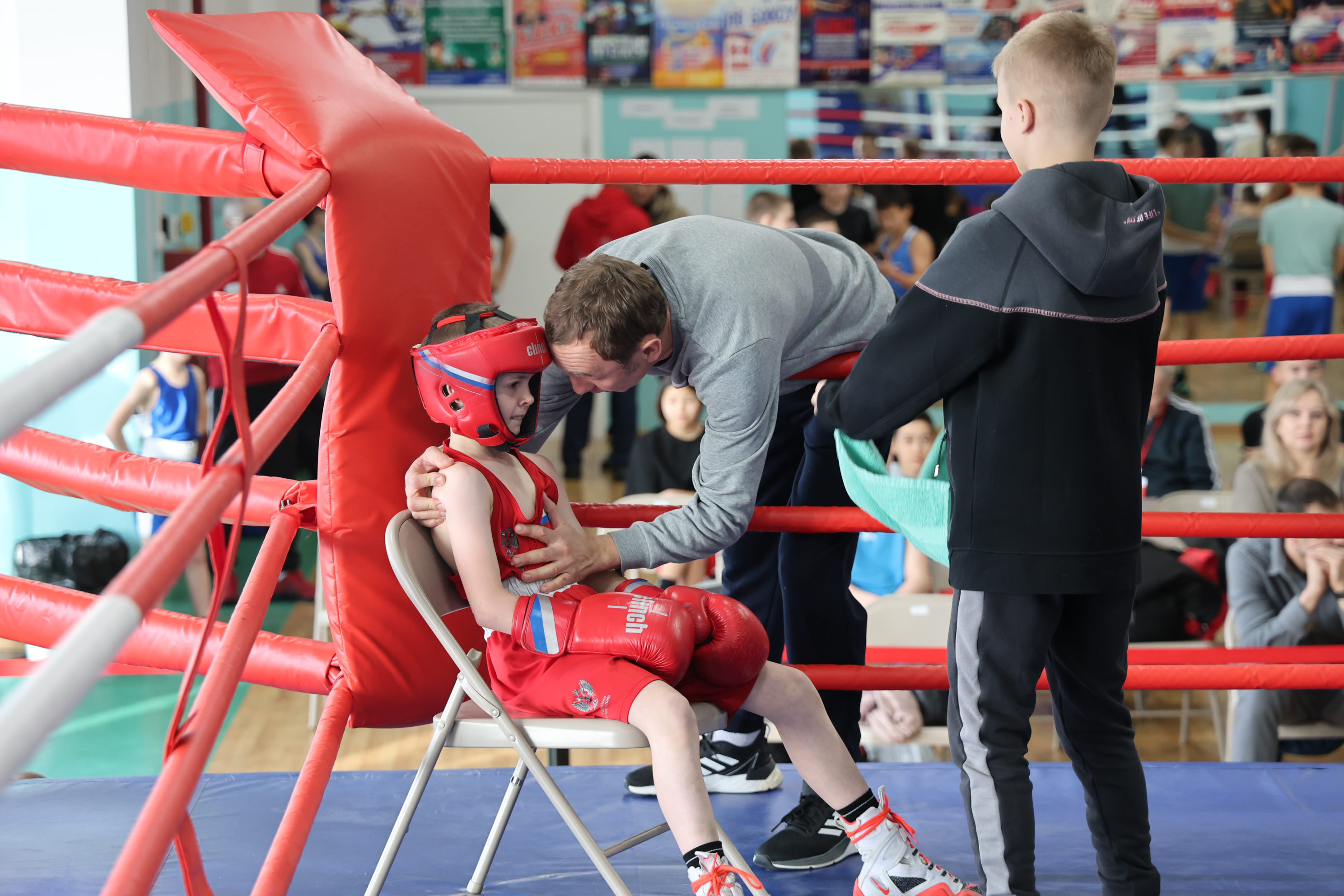 Первенство области по боксу
