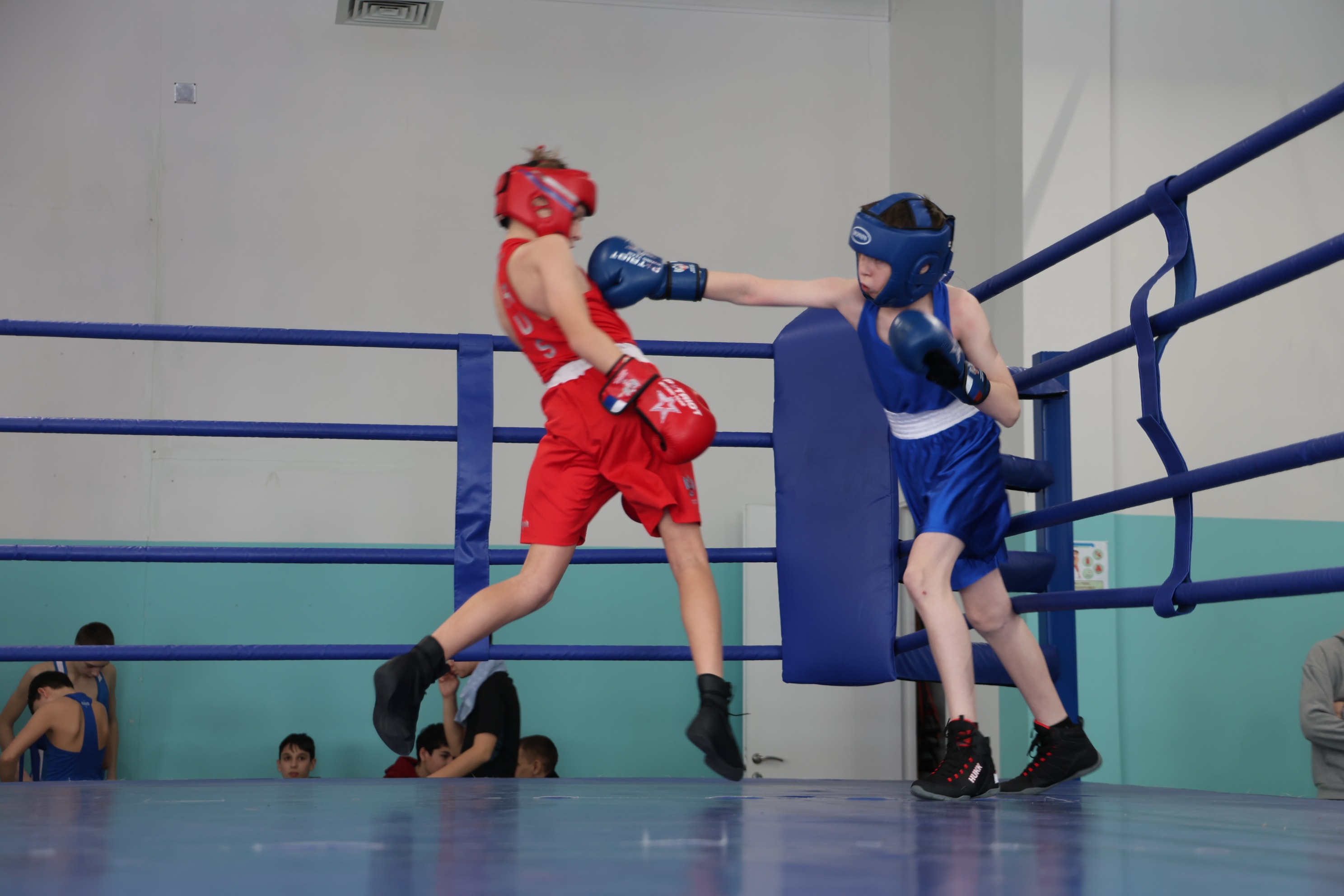 Первенство области по боксу