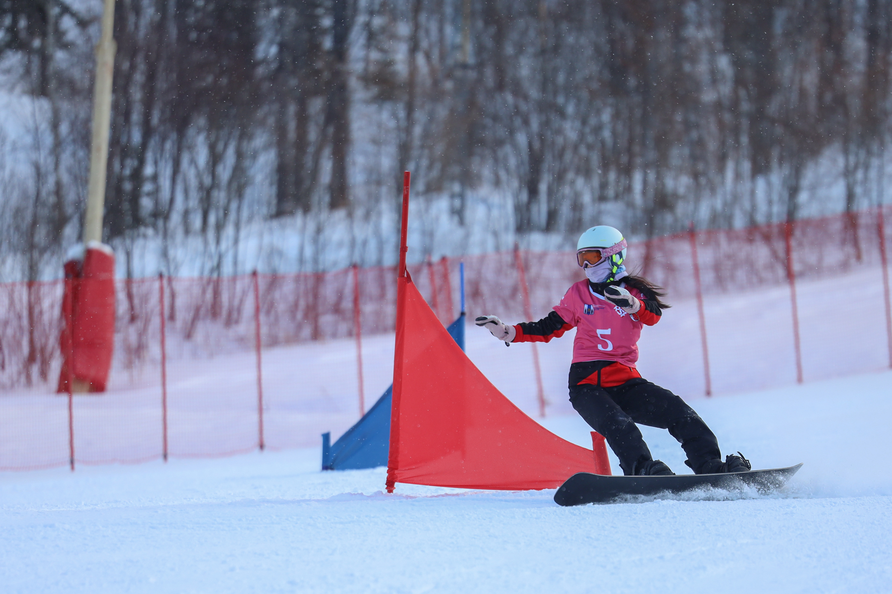 Первенство области по сноуборду