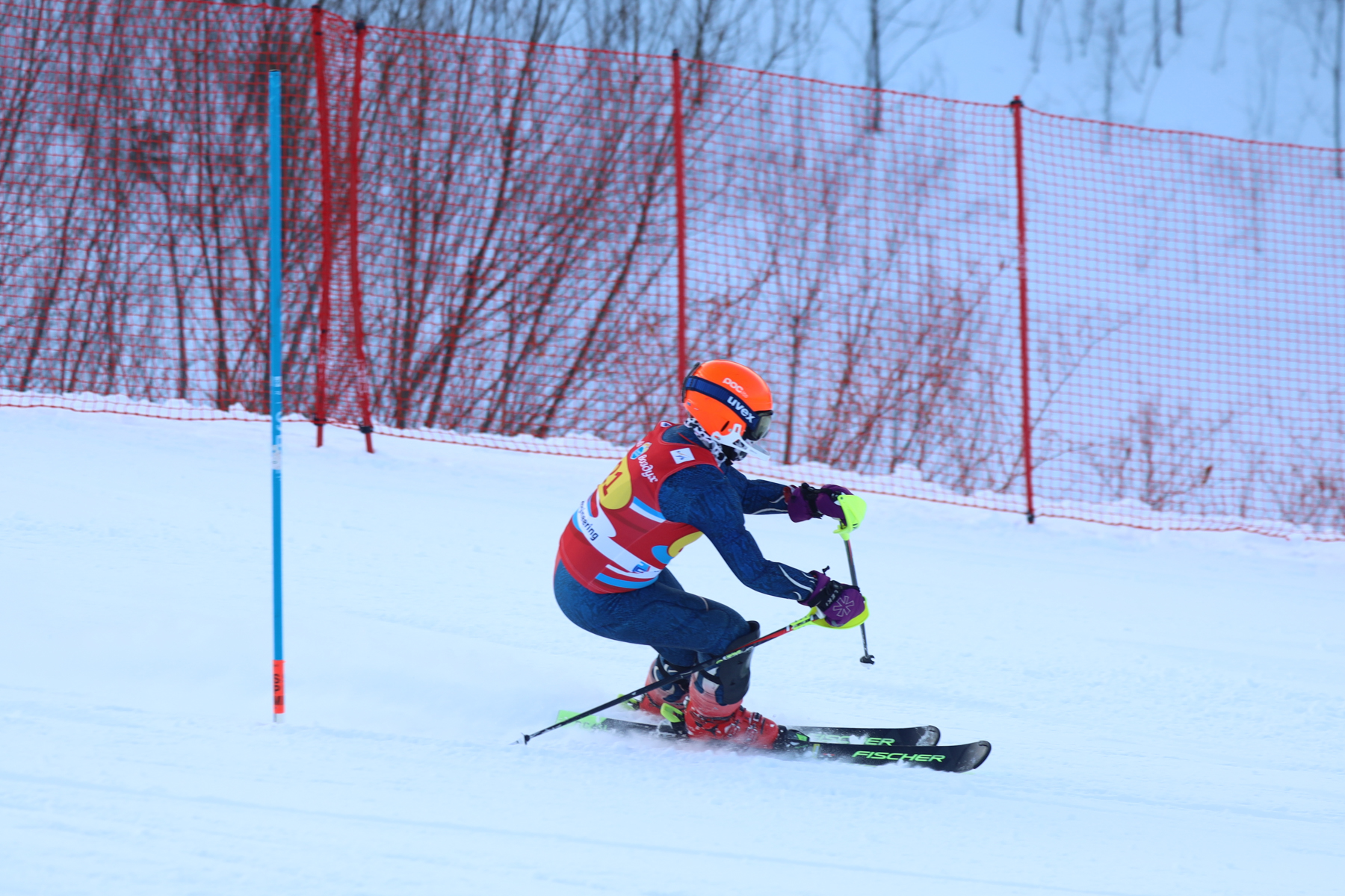 Чемпионат и первенство области по горным лыжам