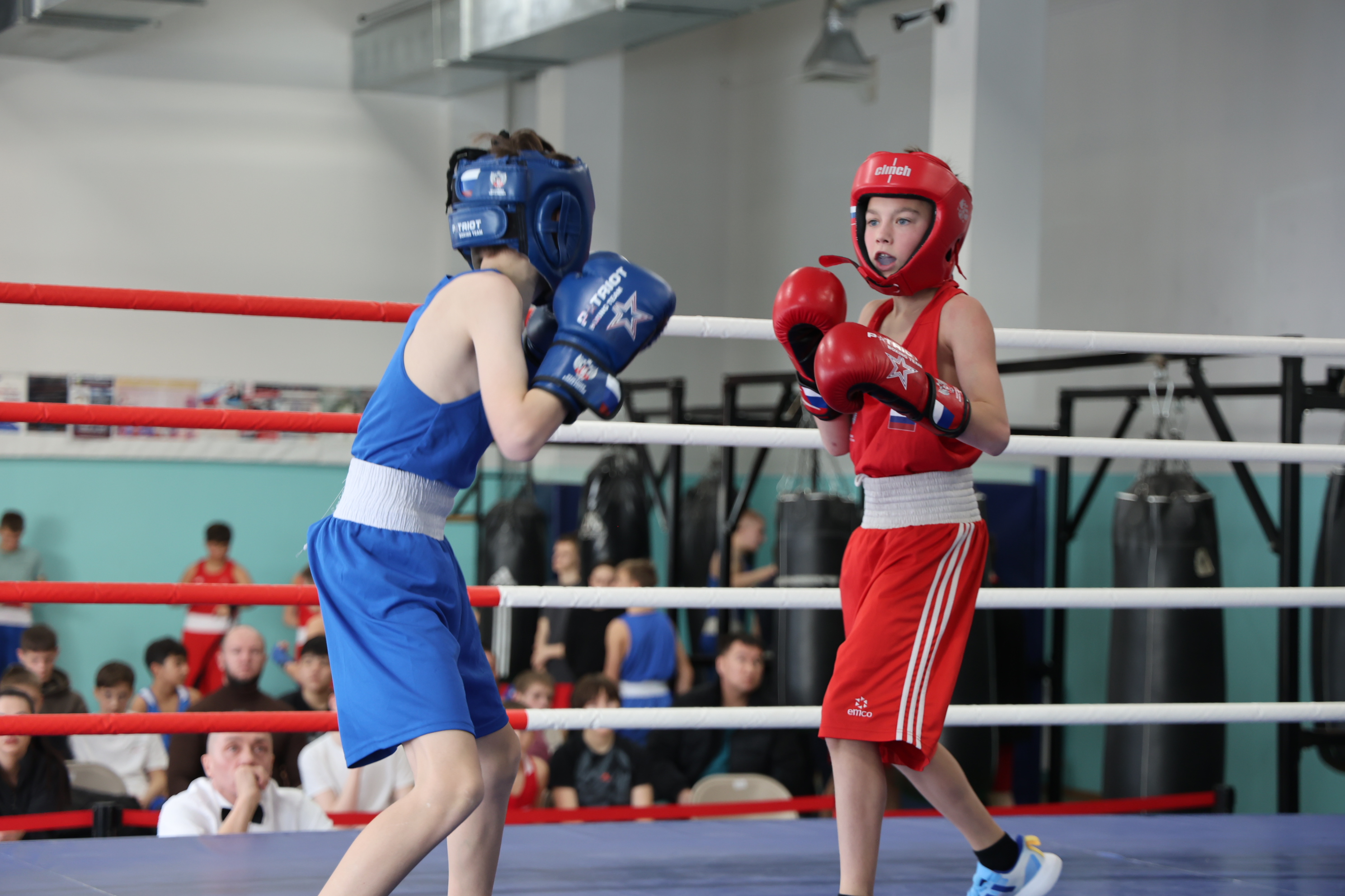 Первенство области по боксу