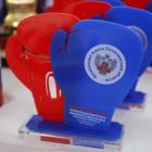 Островные боксеры завоевали четыре медали первенства ДФО