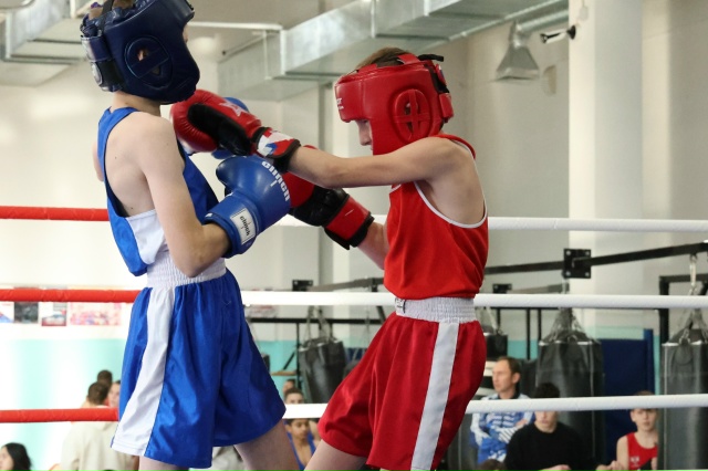 Областные соревнования по боксу «Сахалинские надежды»