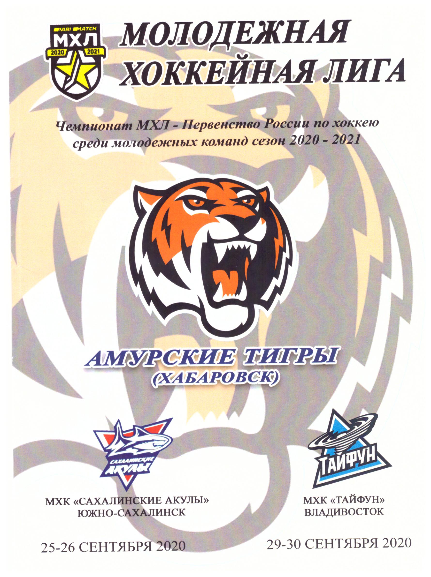 "Амурские Тигры" (Хабаровск) - "Сахалинские Акулы" (Южно-Сахалинск). Вид 2